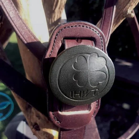 Martingale cuir collier coloré C-Cure Color - Ihwt - Martingales - Equestra