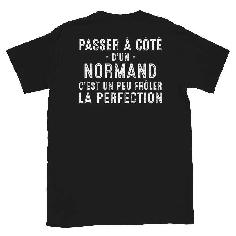 Passer à cté d'un Normand frler la perfection - T-shirt Standard
